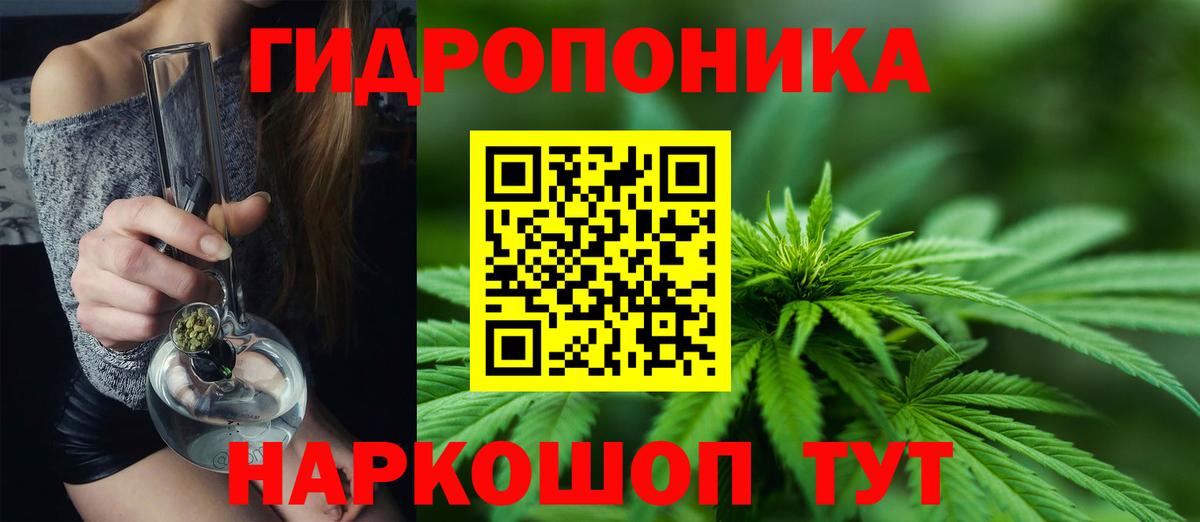 Копейск  МАРИХУАНА тримм  Канабис планчик  Вход с VPN 